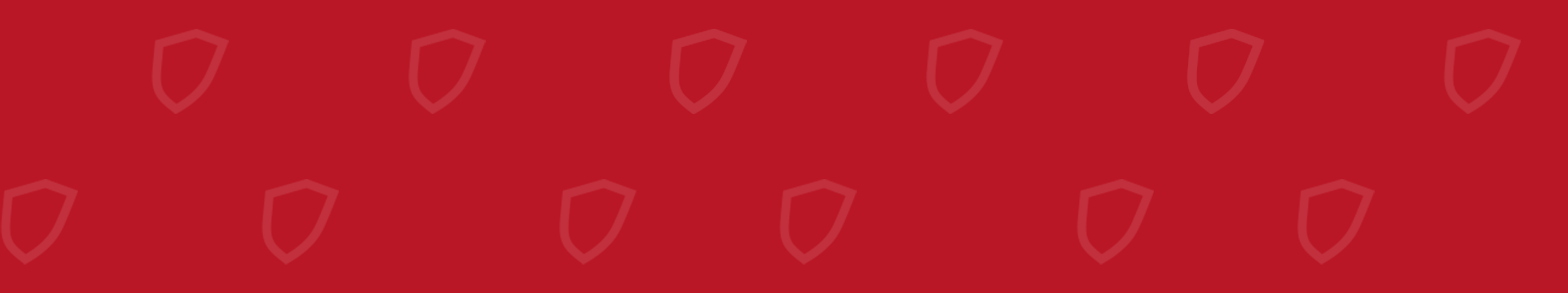 Banner firmy